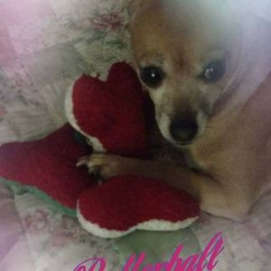 Meet your Posher, Tammy